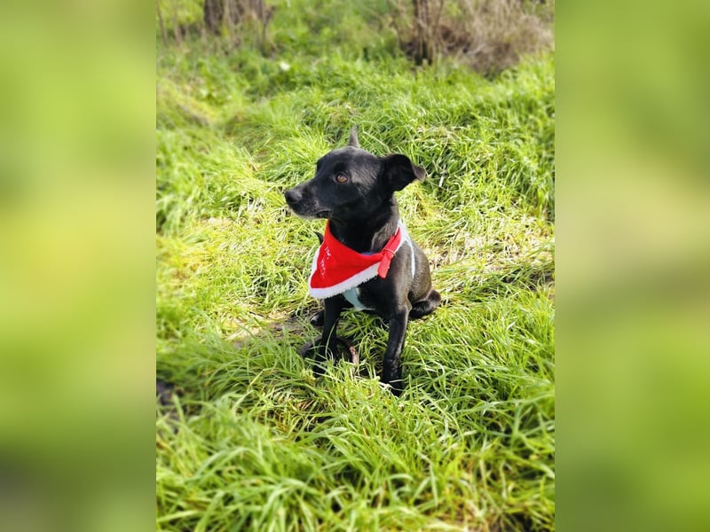 Bubka ein sehr freundliches Mädchen