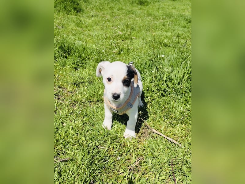 Melody ein kleines Mädchen