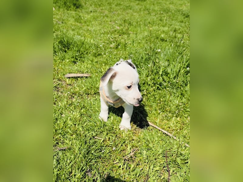 Melody ein kleines Mädchen