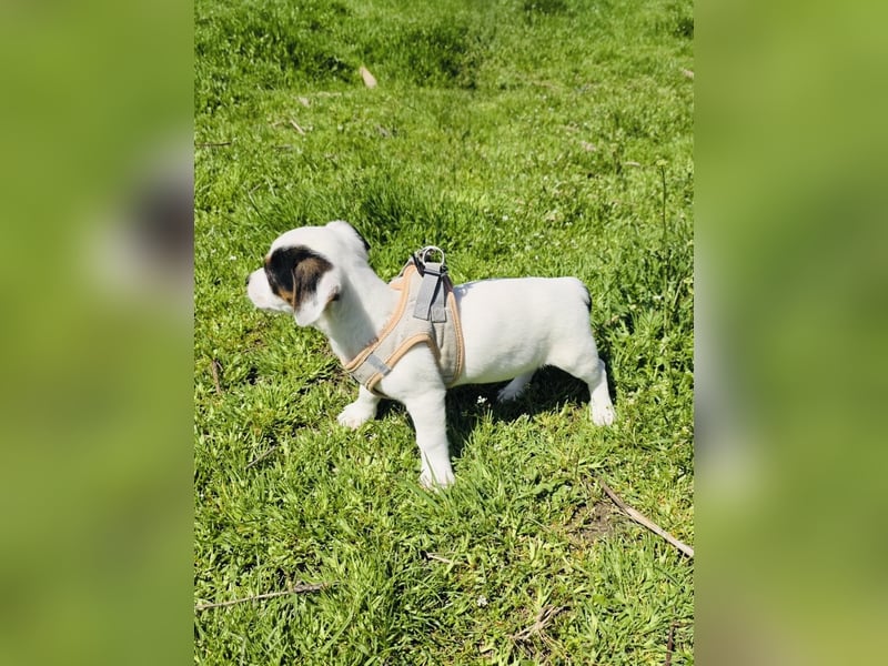 Melody ein kleines Mädchen