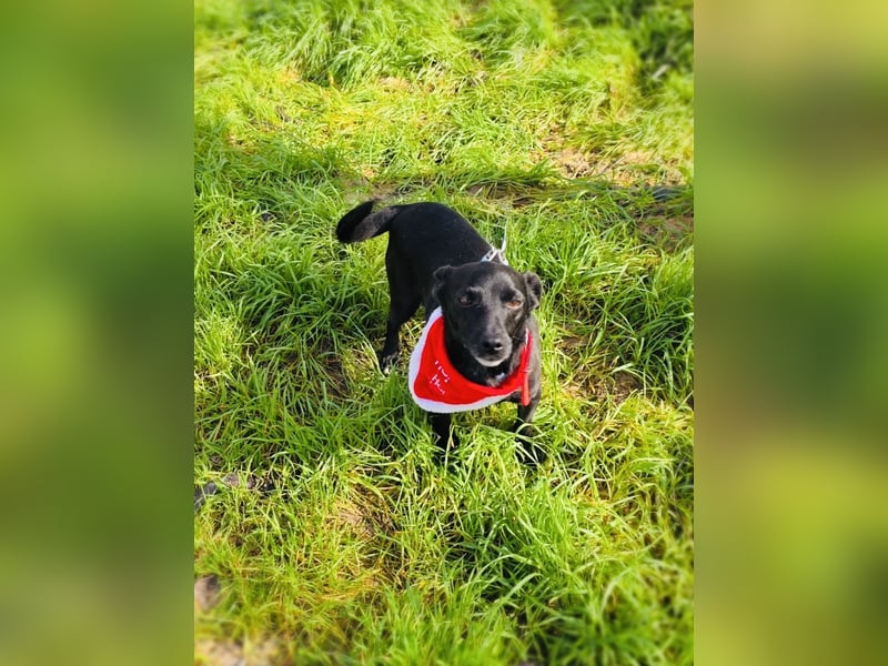 Bubka ein sehr freundliches Mädchen