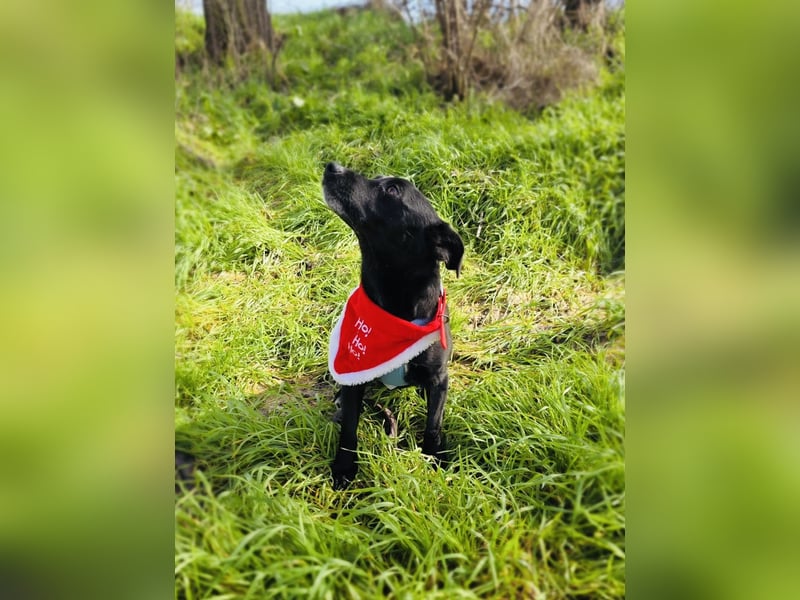 Bubka ein sehr freundliches Mädchen