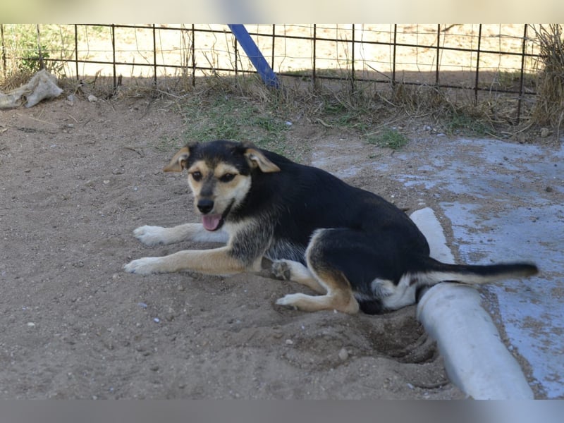 Poppi- ist reserviert