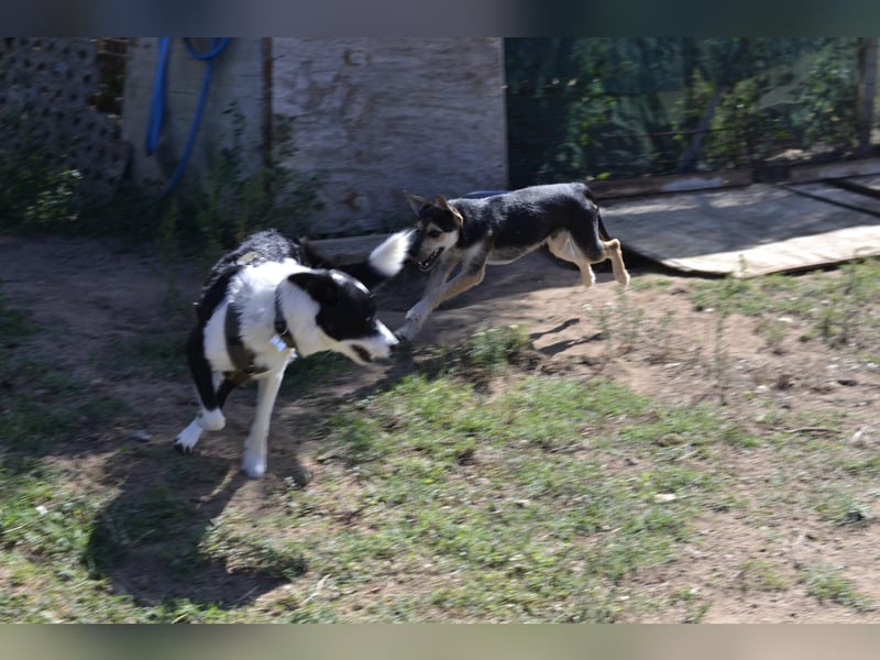 Poppi- ist reserviert