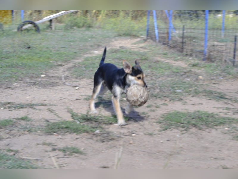 Poppi- ist reserviert