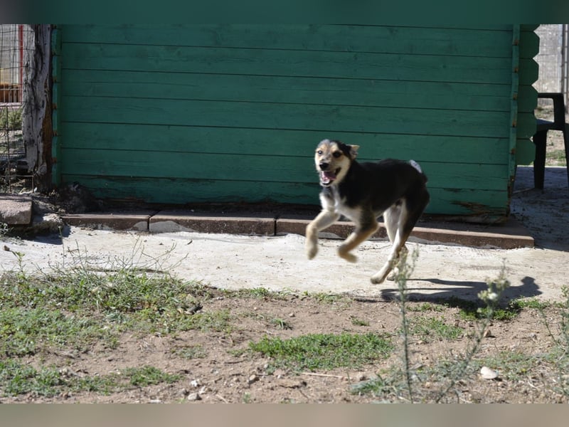 Poppi- ist reserviert