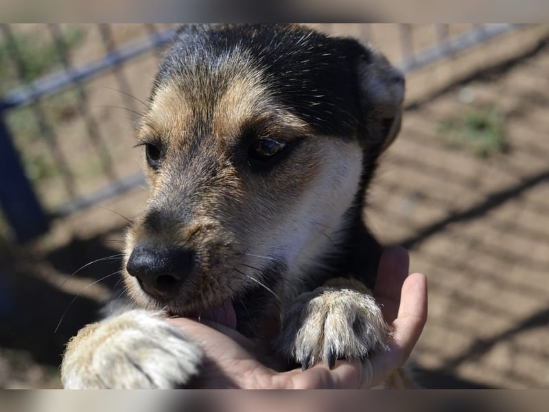 Poppi- ist reserviert