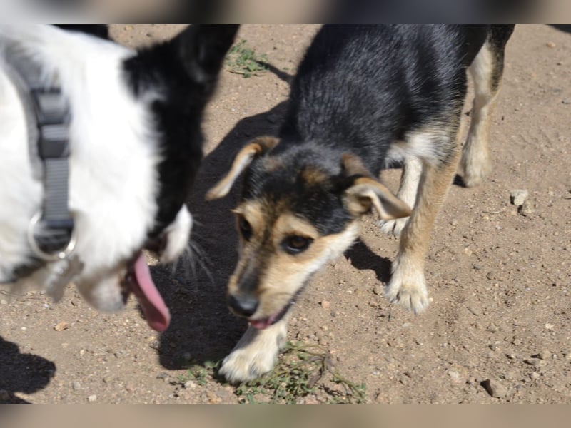 Poppi- ist reserviert