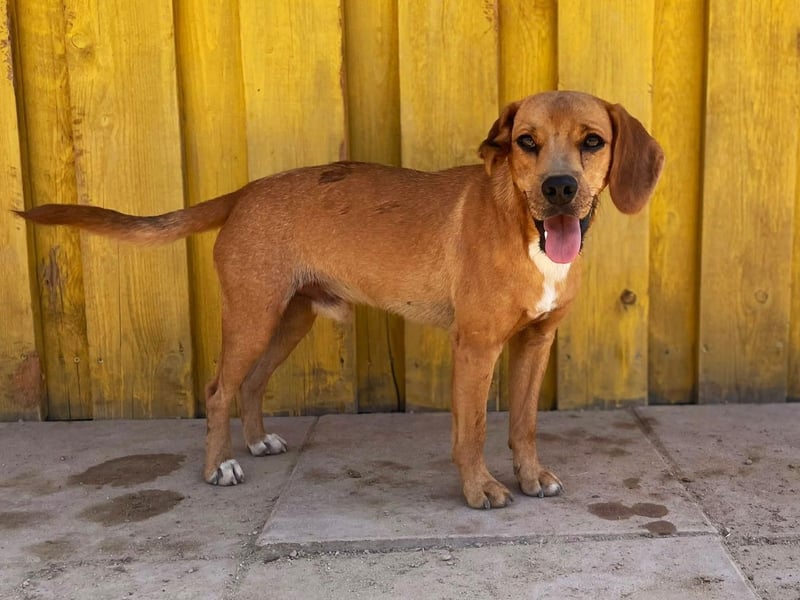 Zoro – Süßer Traumbursche sucht seine eigene Familie