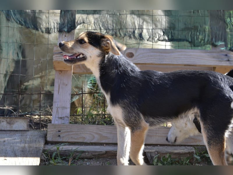 Poppi- ist reserviert