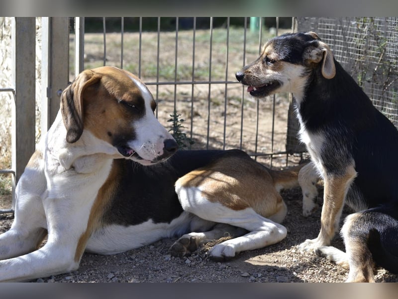 Poppi- ist reserviert