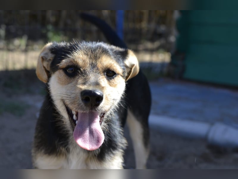 Poppi- ist reserviert