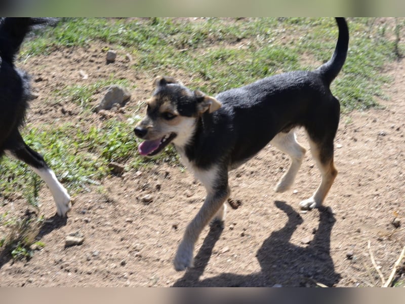 Poppi- ist reserviert