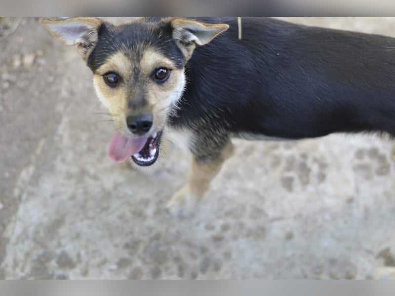 Poppi- ist reserviert