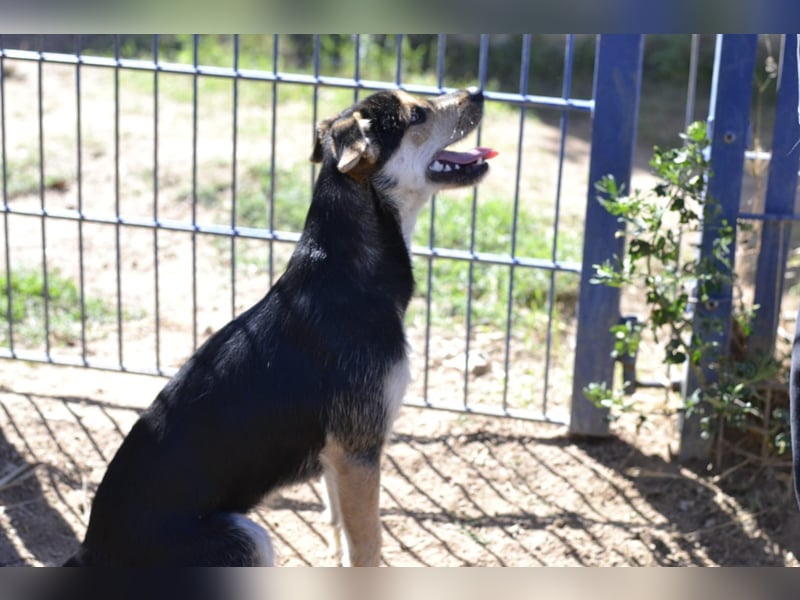 Poppi- ist reserviert