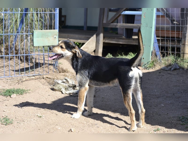 Poppi- ist reserviert