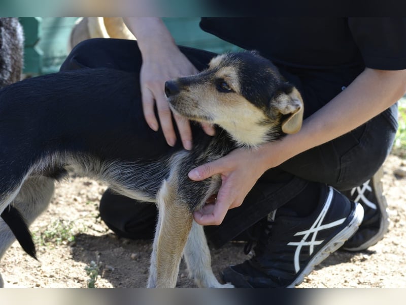 Poppi- ist reserviert