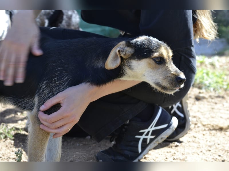 Poppi- ist reserviert