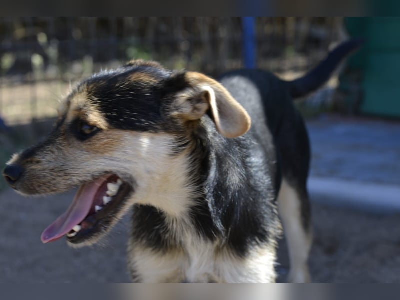 Poppi- ist reserviert