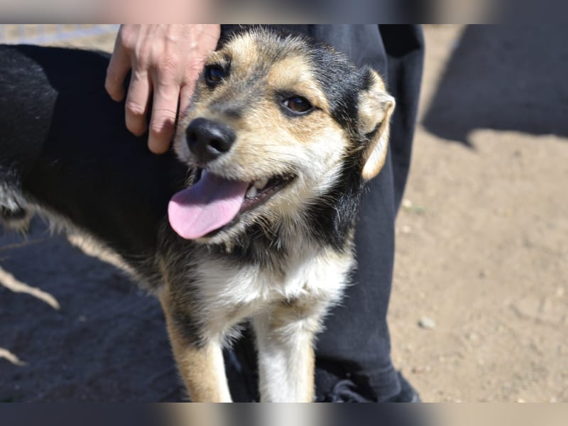 Poppi- ist reserviert