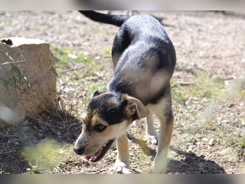 Poppi- ist reserviert