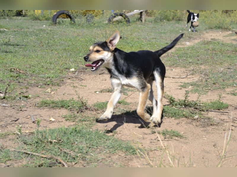 Poppi- ist reserviert