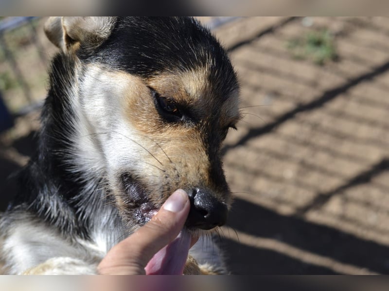 Poppi- ist reserviert