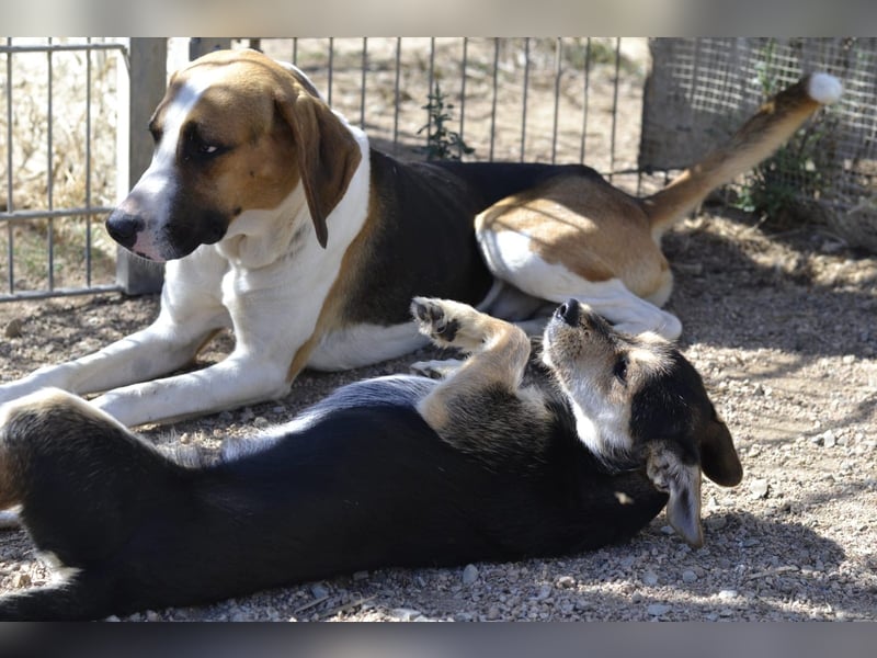 Poppi- ist reserviert