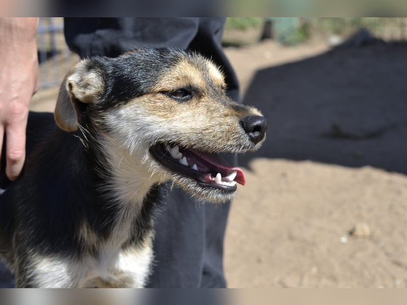 Poppi- ist reserviert