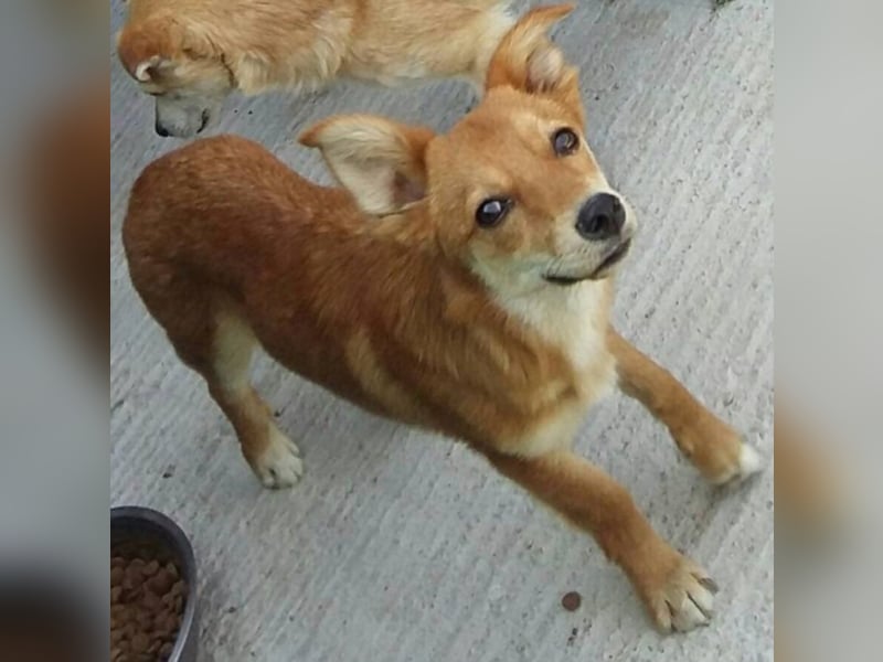 Lenny sucht seine Familie