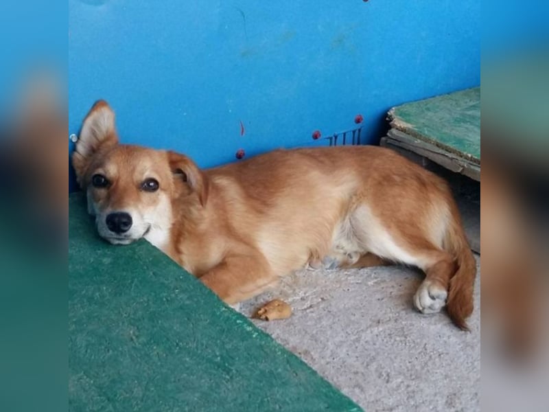 Lenny sucht seine Familie