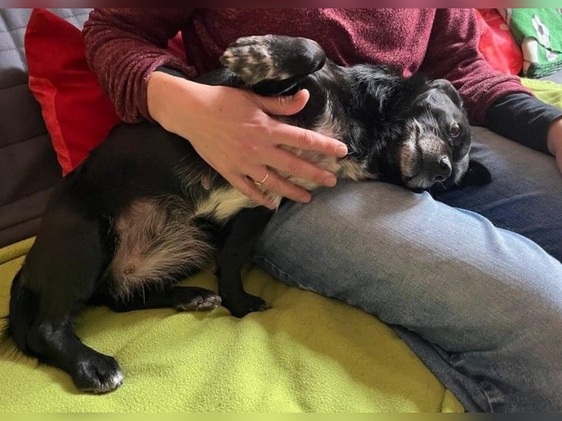 kleine, süße GLINDA sucht Kuschelpartner