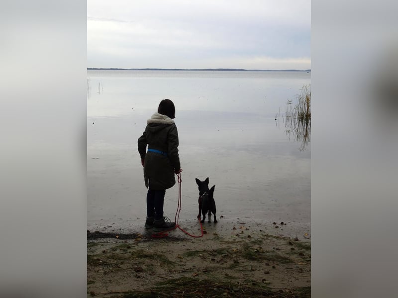 kleine, süße GLINDA sucht Kuschelpartner