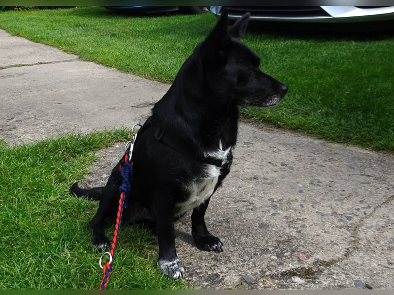 kleine, süße GLINDA sucht Kuschelpartner