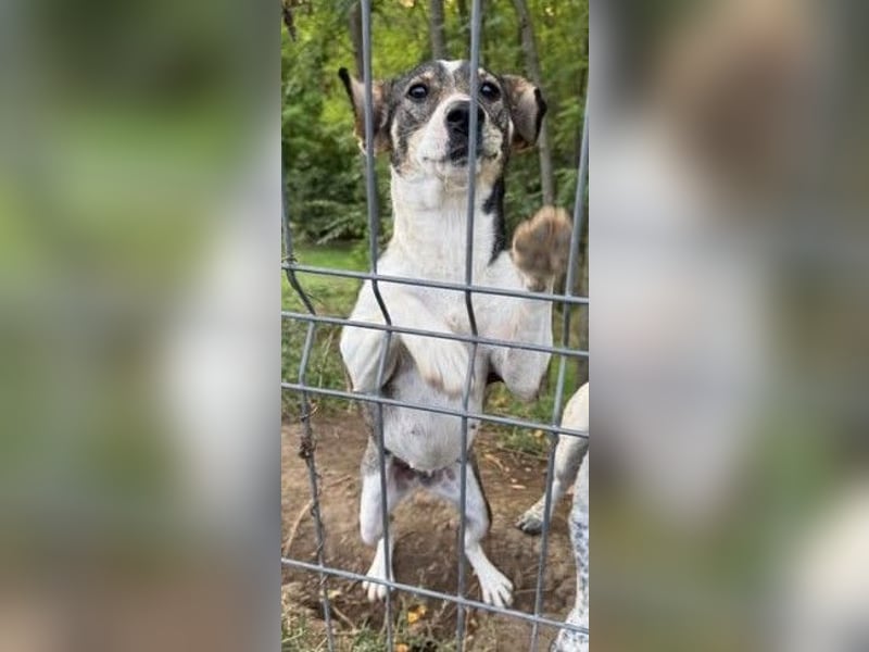 Tapfere Mama Madlen - will endlich geliebt werden