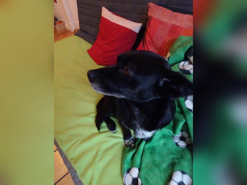 kleine, süße GLINDA sucht Kuschelpartner