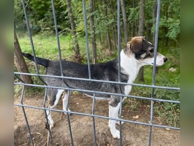 Tapfere Mama Madlen - will endlich geliebt werden
