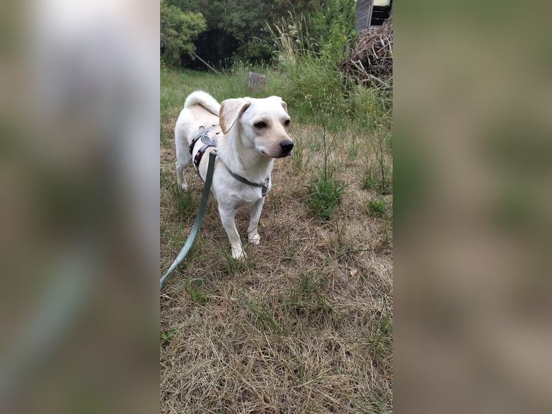 Minimann Eddi sucht seine Menschen