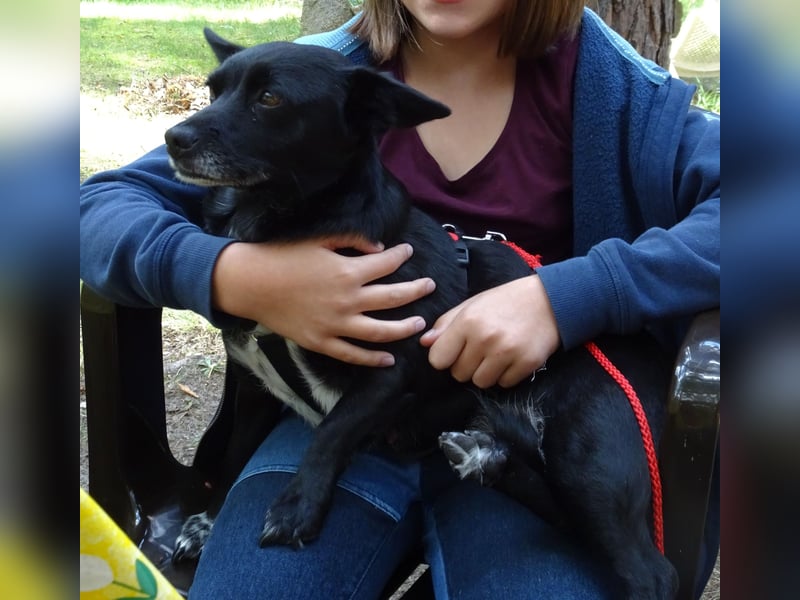 kleine, süße GLINDA sucht Kuschelpartner