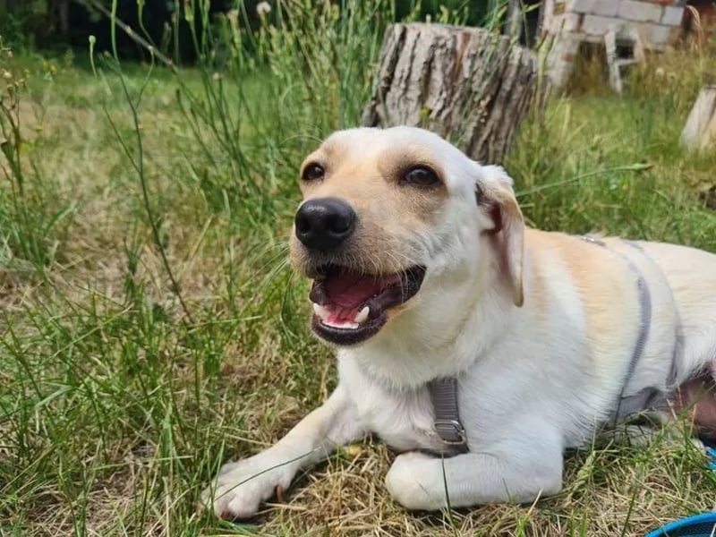 Minimann Eddi sucht seine Menschen