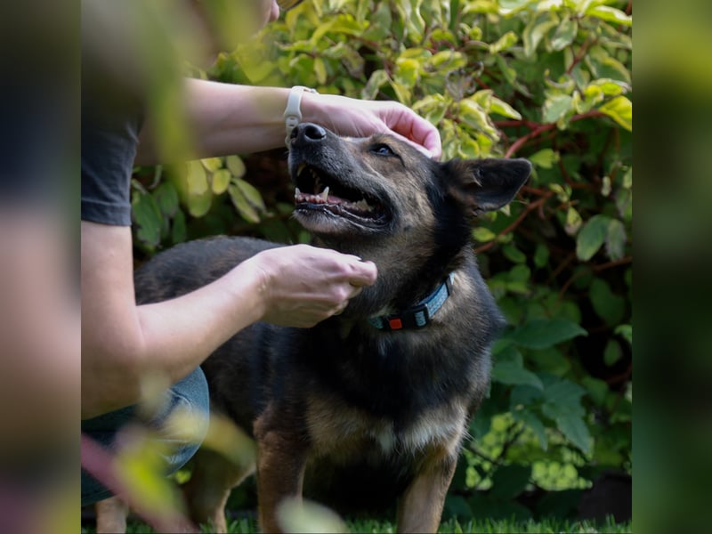 Wundervolle Eva sucht liebevolles Zuhause
