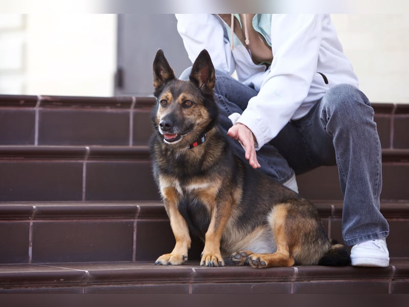 Wundervolle Eva sucht liebevolles Zuhause