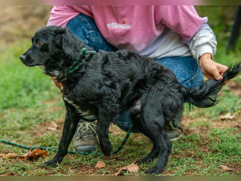Kaviár von kettenlos