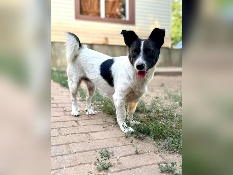 Lilly von kettenlos