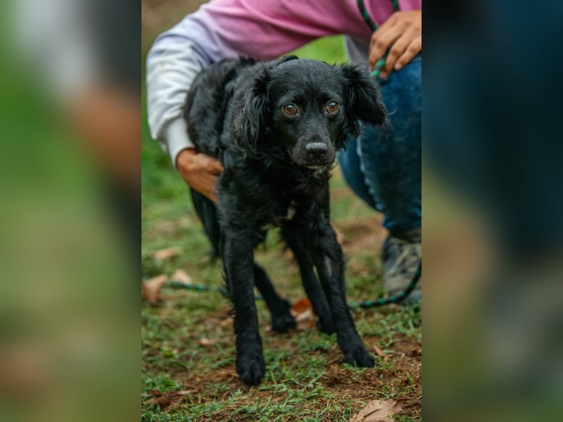 Kaviár von kettenlos