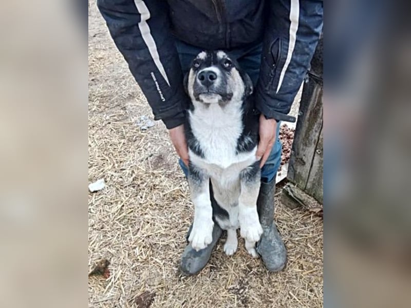 Agador, lieb und freundlich