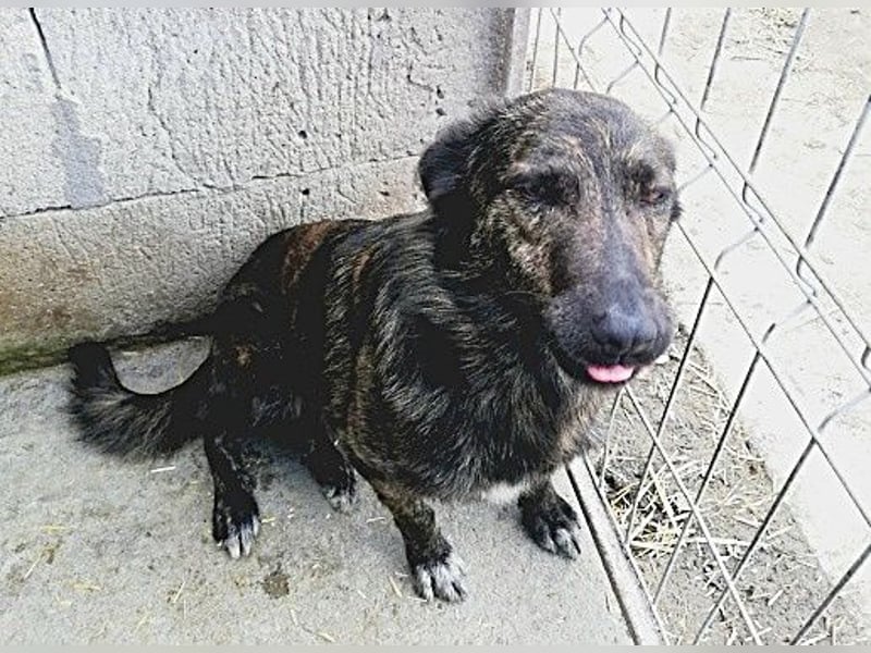 Minnie, sehr freundlich und lieb