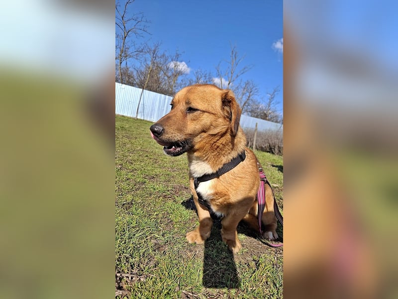 Carlos, freundlich und lieb