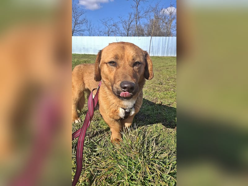 Carlos, freundlich und lieb