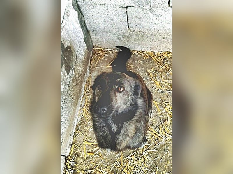 Minnie, sehr freundlich und lieb